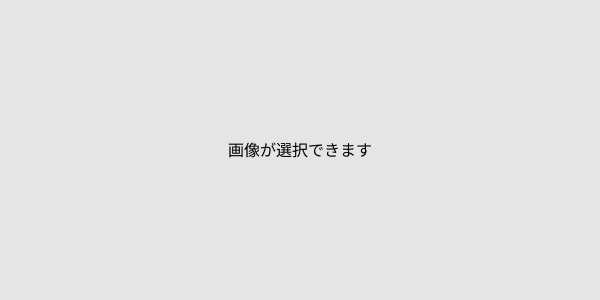 dummy_600